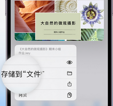 巴楚apple维修中心分享iPhone文件应用中存储和找到下载文件