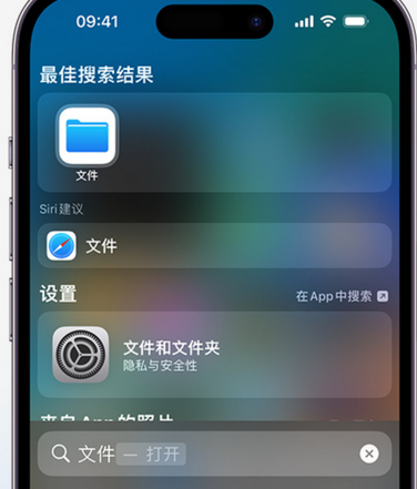 巴楚apple维修中心分享iPhone文件应用中存储和找到下载文件