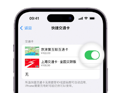 巴楚apple维修点分享iPhone上更换Apple Pay快捷交通卡手绘卡面 