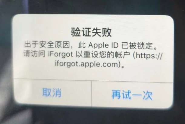 巴楚iPhone维修分享iPhone上正常登录或使用AppleID怎么办 