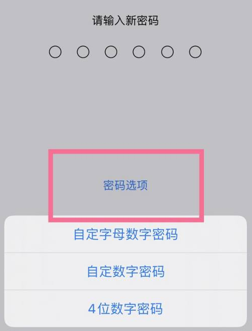 巴楚苹果14维修分享iPhone 14plus设置密码的方法 