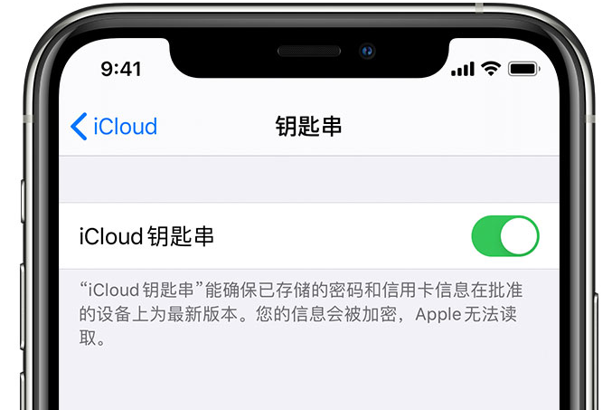 巴楚苹果手机维修分享在 iPhone 上开启 iCloud 钥匙串之后会储存哪些信息 