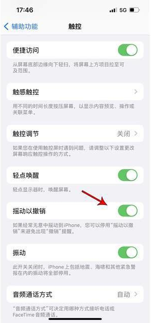 巴楚苹果手机维修分享iPhone手机如何设置摇一摇删除文字 